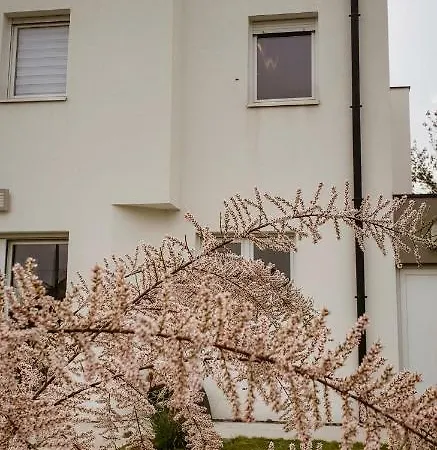 Belle Maison Avec Jardin A Dom wakacyjny *